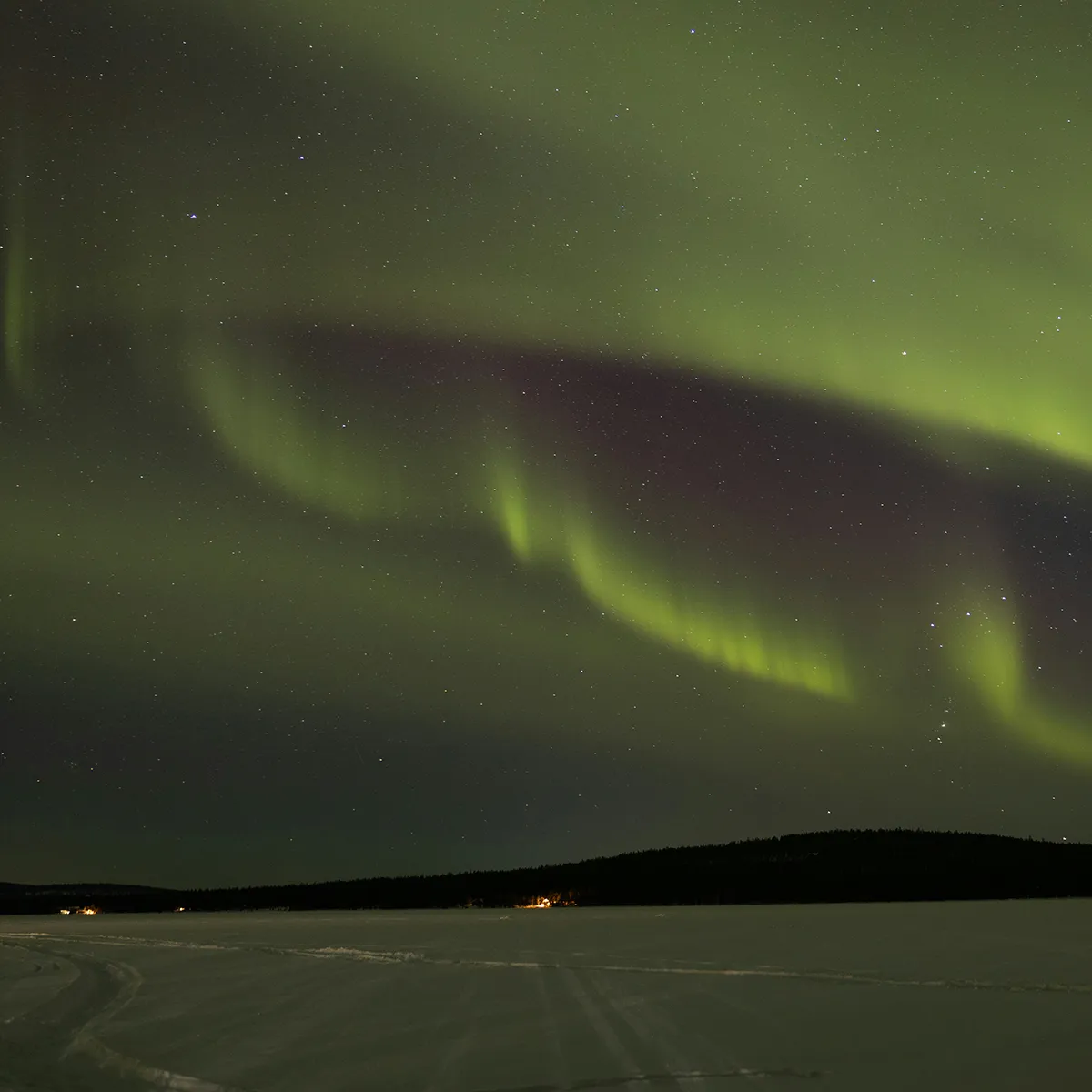 Green aurora borealis lights swirl above a snowy landscape and a distant tree line at night.